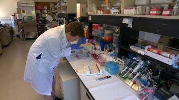 Artificial intelligence algorithm helping identify rare genetic diseases in children