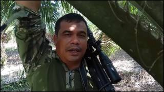 Tips For Hunting In Tiger Areas