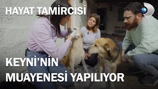 Veteriner Hekimimiz Esra Şenol Keyniyi Muayene Ediyor - Hayat Tamircisi 5 .