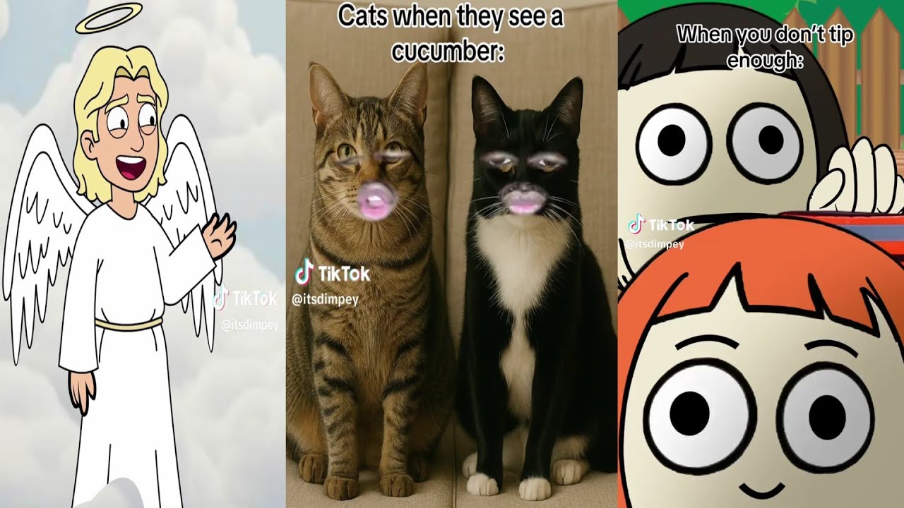 1 Hour New Dimpey 6 Shorts Videos 2025 l Dimpey 6 Funny Shorts Compilation 2025