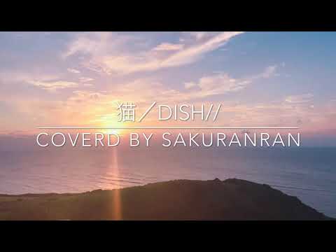 【cover】猫／DISH//  サビ　女性が歌う・耳コピ・ピアノ弾き語り