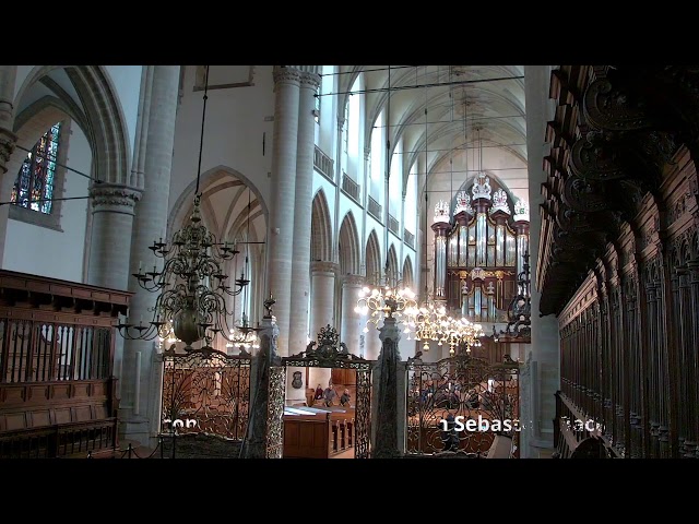 Grote Kerk Dordrecht  - zondag 22 februari 2026