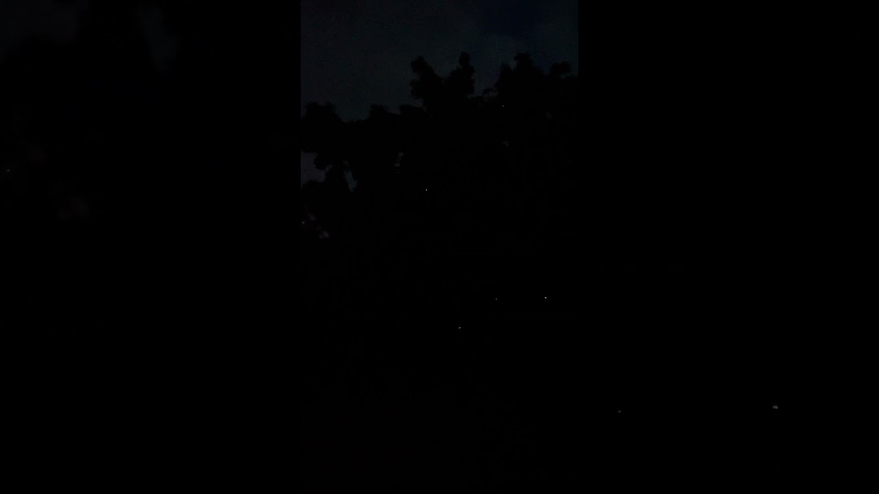 Fireflies at night 
