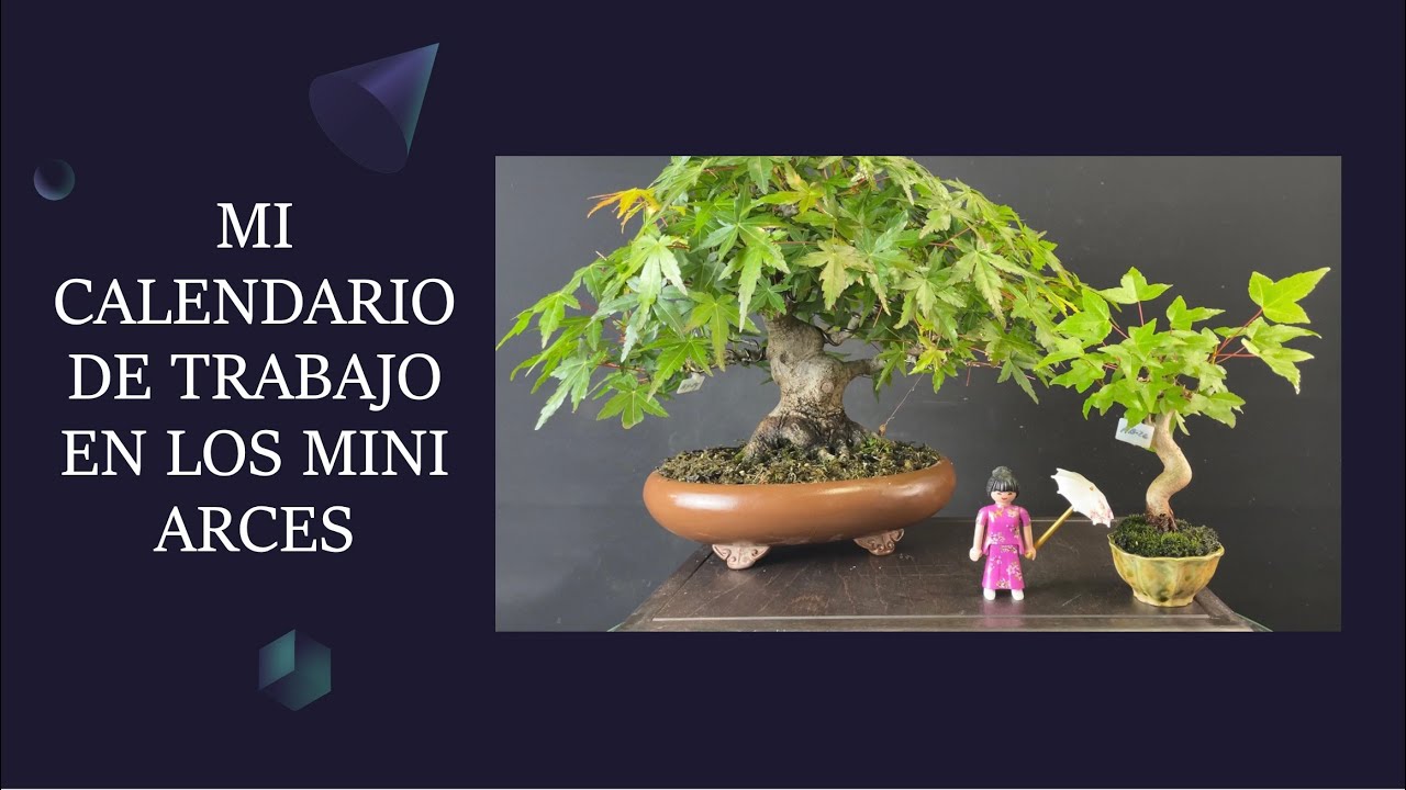 MI CALENDARIO DE TRABAJO EN LOS MINI ARCES