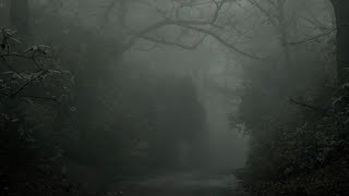 Let's Explore Back at Haunted Quarry Demon Encounter Strange Creepy Noises Made me leave the quarry