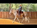 Kill Pen/Bucking bred Horse makes Huge change!