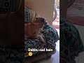 gussa h dabbu 🥺 #viral #love #funny #comedy #dabbu #cute #explorepage#viral #youtuber #love #shorts
