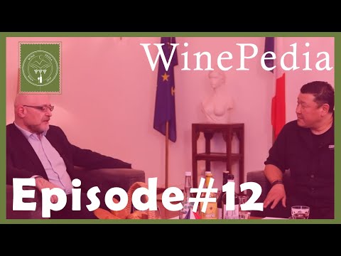 #12 ВИНОПЕДИА  “Франц вино”