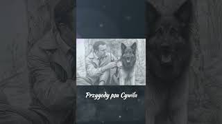 Przygody, Które Wychowały Pokolenia #polskamuzyka #muzyka #nowamuzyka #music