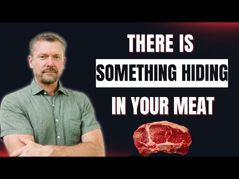 Meat With Fiber