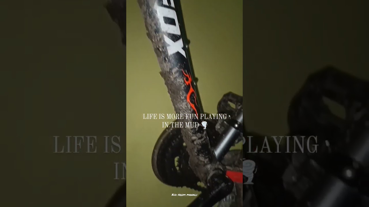 Agree ? ?  |  Firefox Viper MTB 