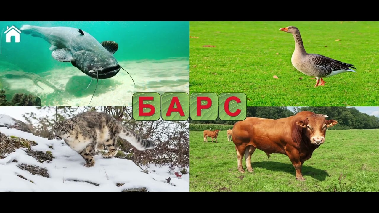 30 января 2026 г.