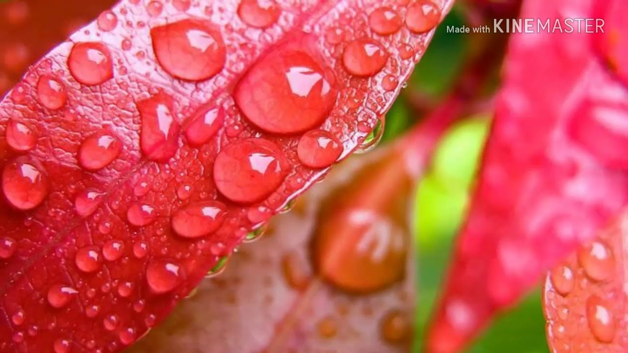 Top 10 4K water drop YouTube