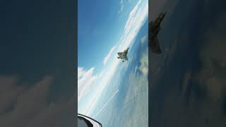 DCS: How to deal with F-22 Raptor