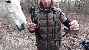 Ultimate Bitless Bridle (UBB) - Nylon and Biothane combination