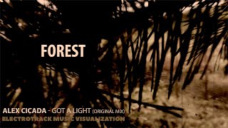 Forest - Vocal Deep House Music Visualization