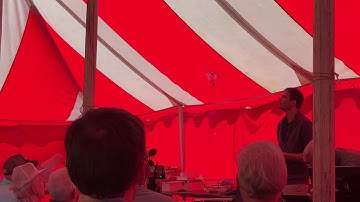 Delfly Nimble flapping wing flier.