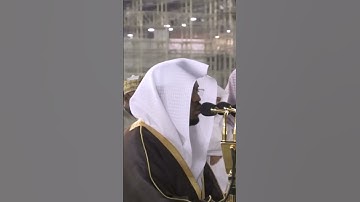 وقالوا الحمد لله الذي أذهب عنا الحزن ۖ ~ الشيخ ياسر الدوسري -التلاوة كاملة بالوصف