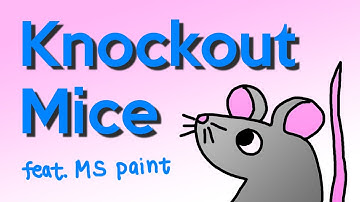 Knockout Mice