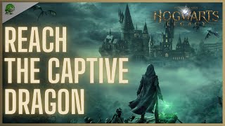 Hogwarts Legacy Reach the captive dragon