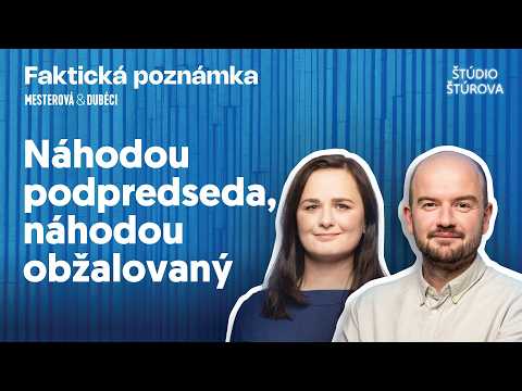 Faktická poznámka | Náhodou podpredseda, náhodou obžalovaný