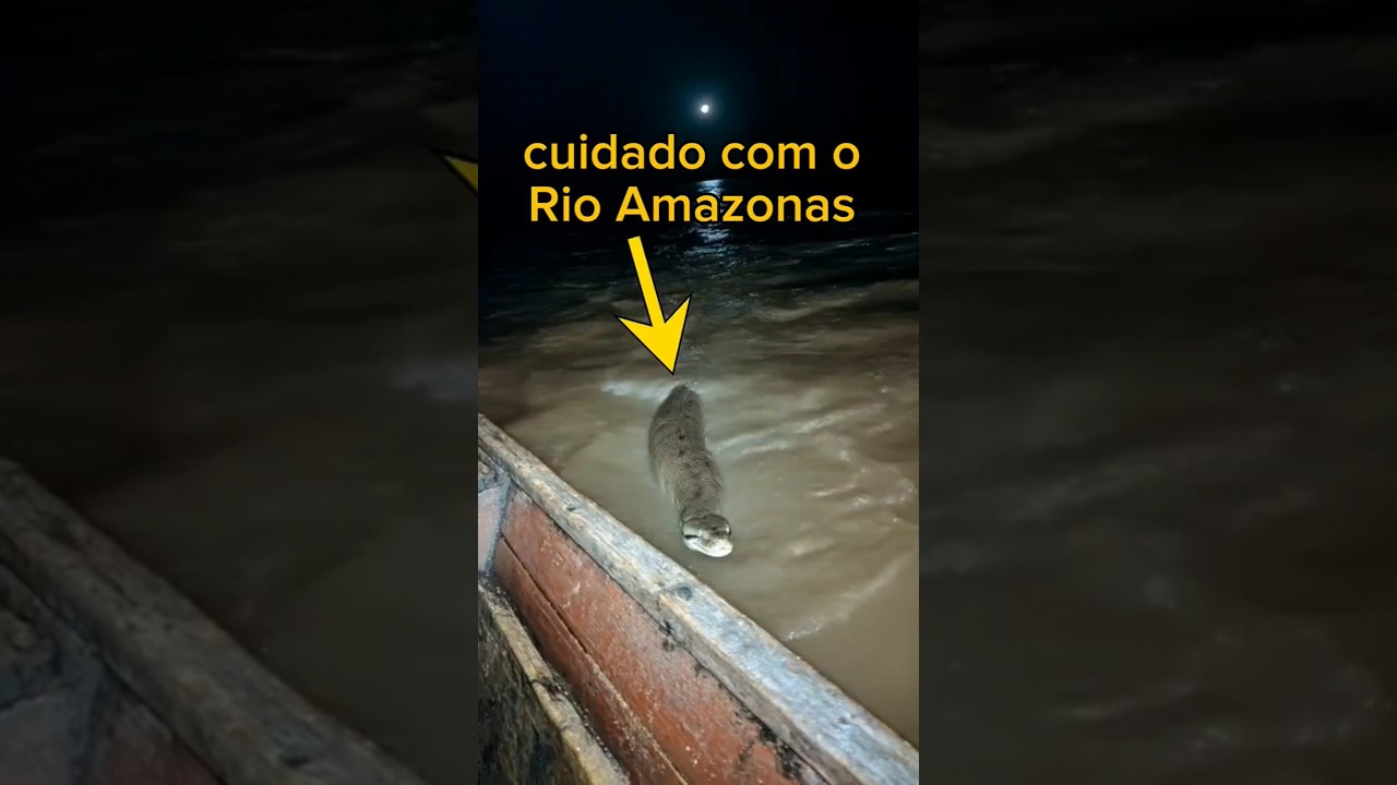 um dos Rios mais perigosos do mundo está no Brasil #rioamazonas #naturezaselvagem #aventura