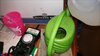 Growing LARGE In small Spaces S 1 Ep 7 Fastbubs WCOG Autoflower Spektrum King Closet Case