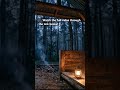 🌧️🌲 Taking shelter deep in the forest as rain gently falls through the trees.