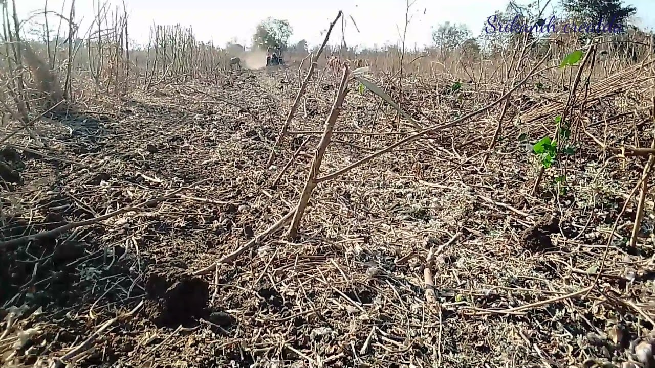 patti katte on farmer || tractor ela tiyadam