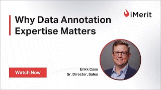 Why Data Annotation Expertise Matters