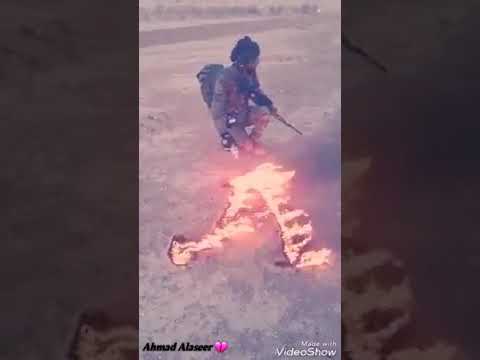 نعيم الشيخ مالك نصيب بدنيتي