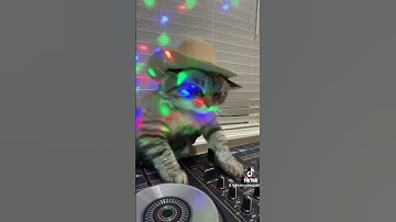 CAT CLUB REMIX PART 2