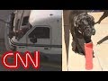 Death-defying Dogs Survive Speed RV Chase