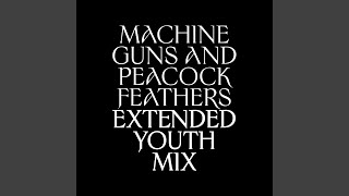 Machine Guns and Peacock Feathers (Extended Youth Mix) screenshot 5