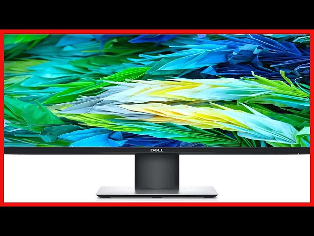 Great product - Dell P2421D 24 Inch 1440p QHD, IPS Thin Bezel 