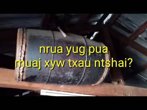 Video: Dab Tsi Tau Muaj Keeb Kwm Tshwm Sim Xyoo 1480