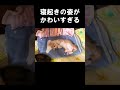 寝起きの姿がかわいすぎる子猫 #うにむぎはち #保護猫