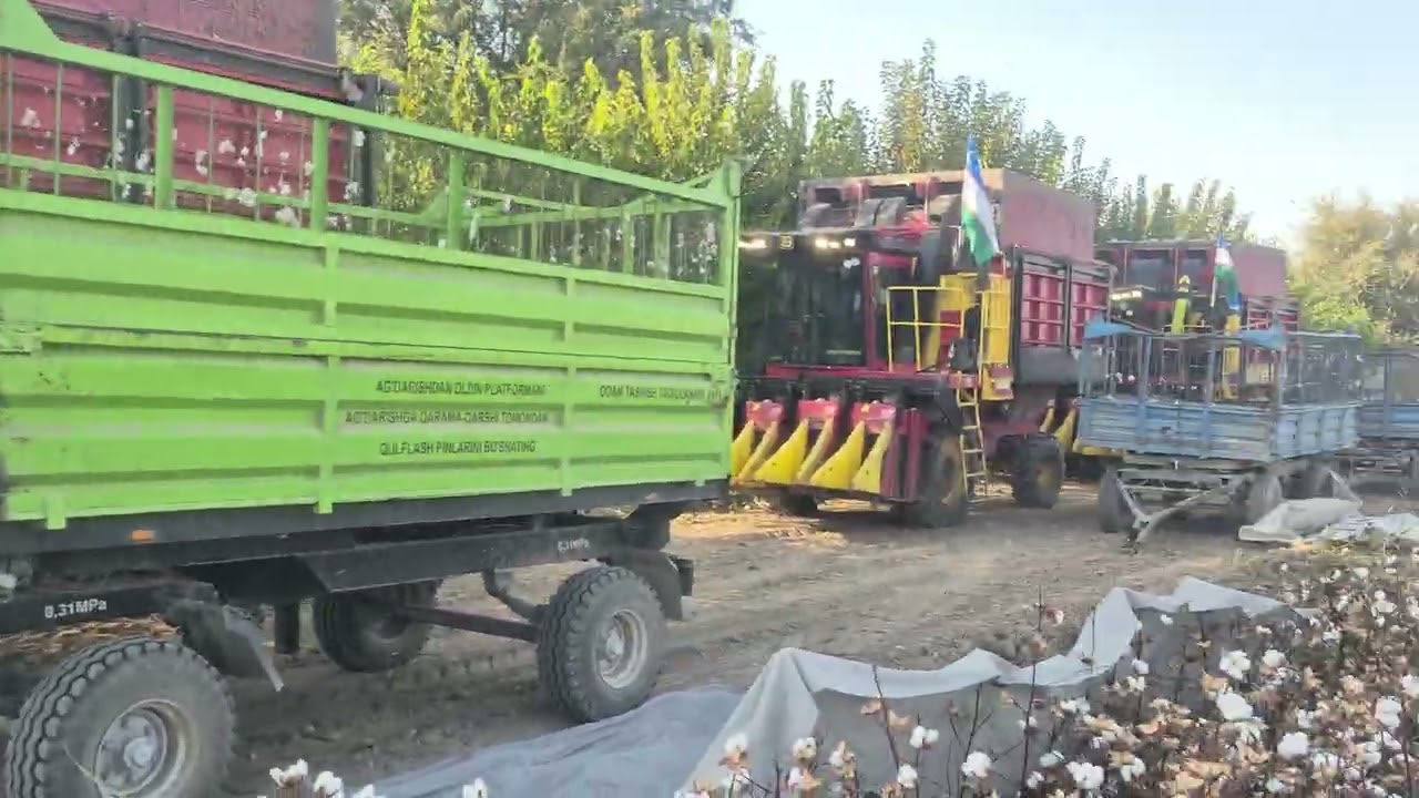 Арнасой туманидаги Баракали дехқон даласи ф. х ерида 17.10.2025 кунги пахта  хосил рекорд!! 