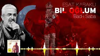 Esat Kabaklı - Bad-ı Saba Resimi