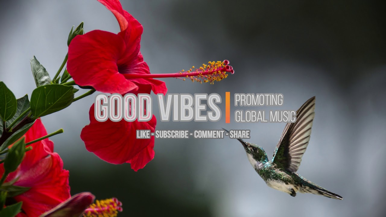 extenz - Endless Summer (Free Download) (Tropical House Music)