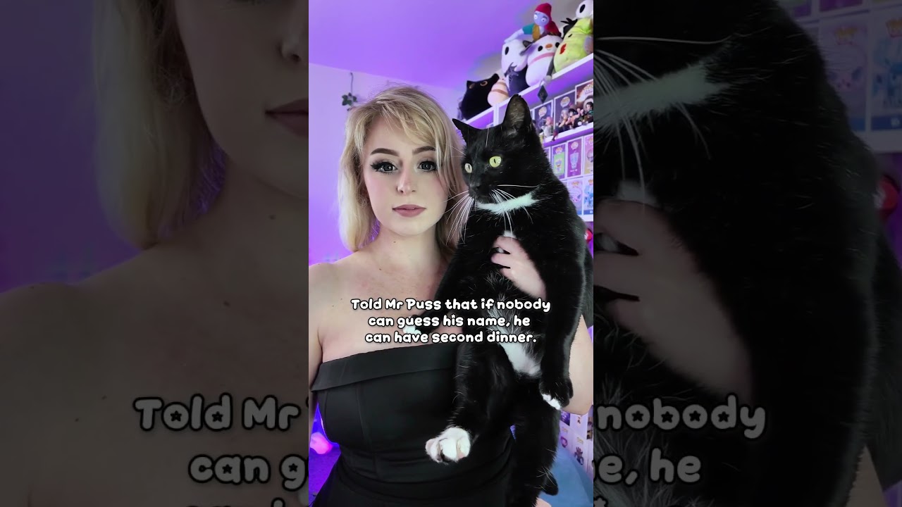 what is Mr Puss' name?