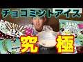 【チョコミント好き集まれ】究極のチョコミントアイス作ってみた！！！