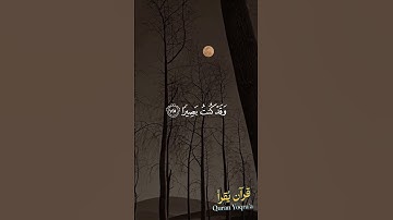 ومن اعرض عن ذكري فإن له معيشة ضنكا #سورة_طه #القرآن_الكريم #اسلام_صبحي #اكسبلور #راحة_نفسية #لايك