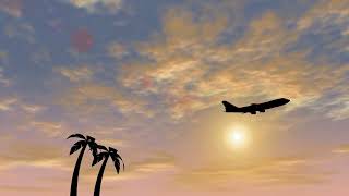 Plane 3966 1