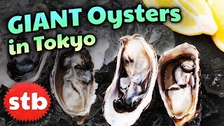 Japanese Food Tour: Oyster Bar Restaurant in Tokyo ★ SoloTravelBlog