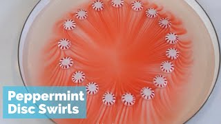 Peppermint Disc Swirls - Cool STEM Holiday Activity