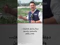 دجلة يختنق بالنفايات .. والصيادون يخسرون مصدر رزقهم