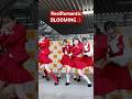 RealRomantic BLOOMING リリースイベント in 名古屋 1部 20250315 #realromantic #リアルロマンティック #髙橋妃那