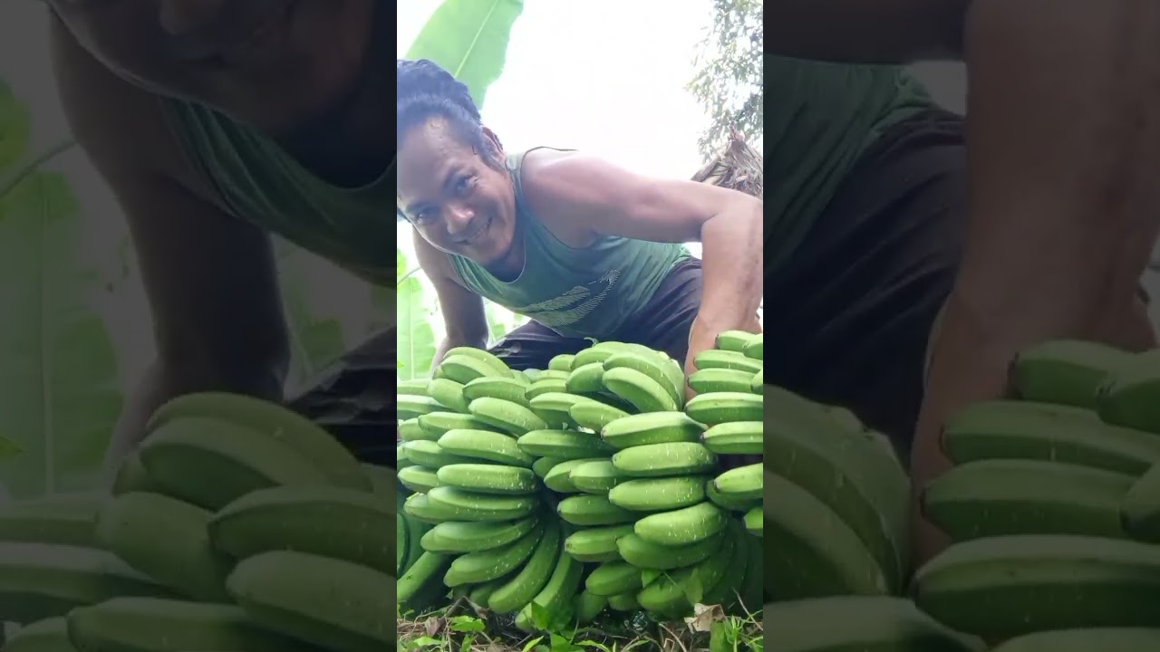 💚💛❤️ Maka palit nag bugas akong pare aning lima kabulig mego.