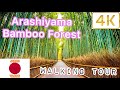 most visited place in japan bamboo forest arashiyama walking tour